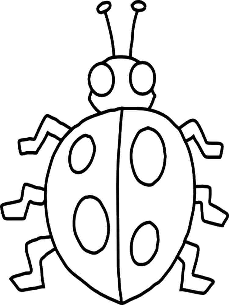 Easy Ladybug 3 coloring page