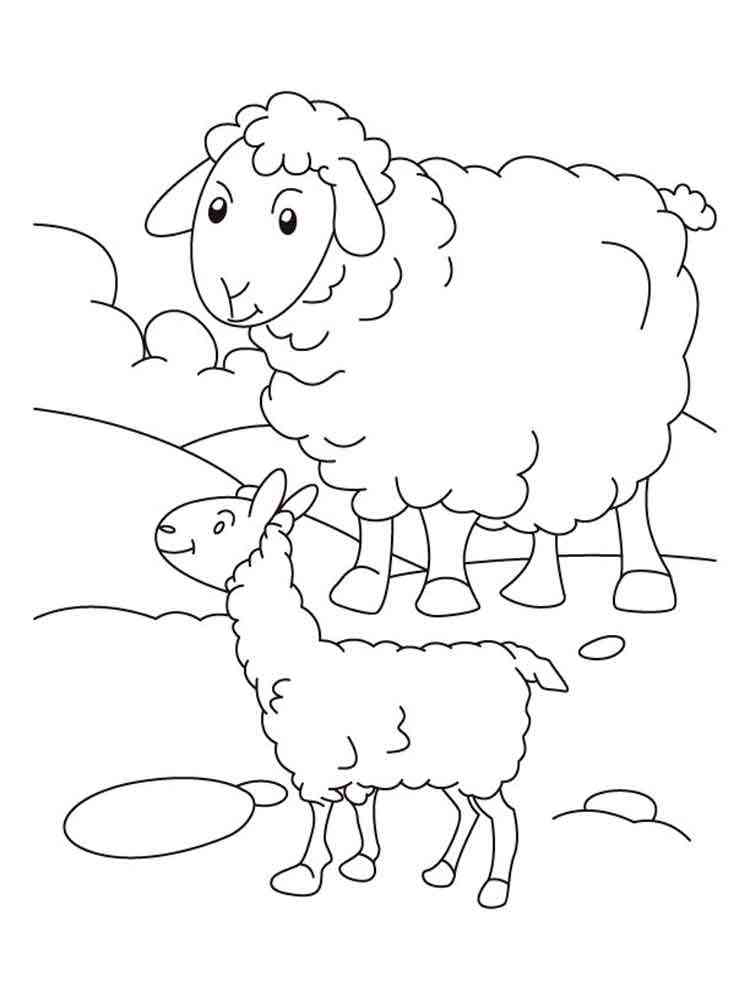 Two Lambs coloring page