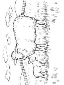 Lamb with cub coloring page