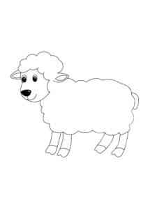 Simple Lamb coloring page