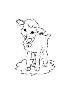 Baby Lamb coloring page