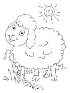 Lamb and the sun coloring page