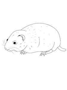 Easy Lemming coloring page