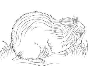 Lemming coloring pages