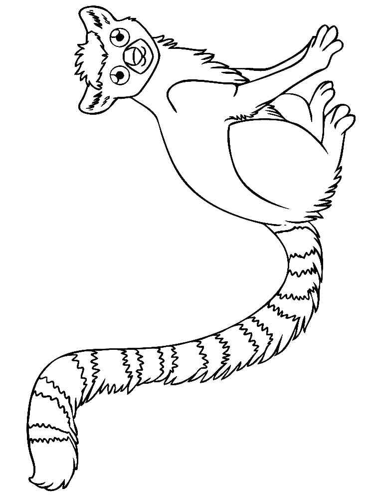 Realistic Lemur coloring page