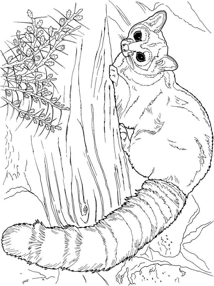 Lemur on a tree coloring page