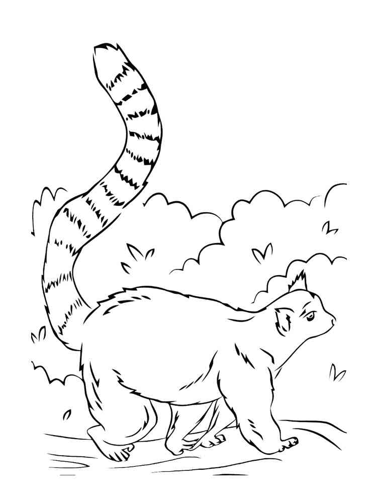 Lemur walking coloring page