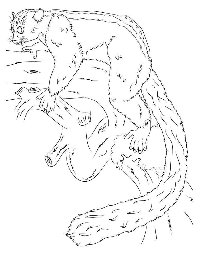 Red Ruffed Lemur coloring page