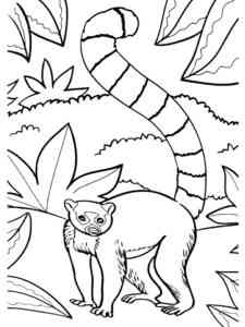 Easy Lemur coloring page