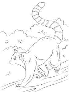 Realistic Ring-Tailed Lemur coloring page
