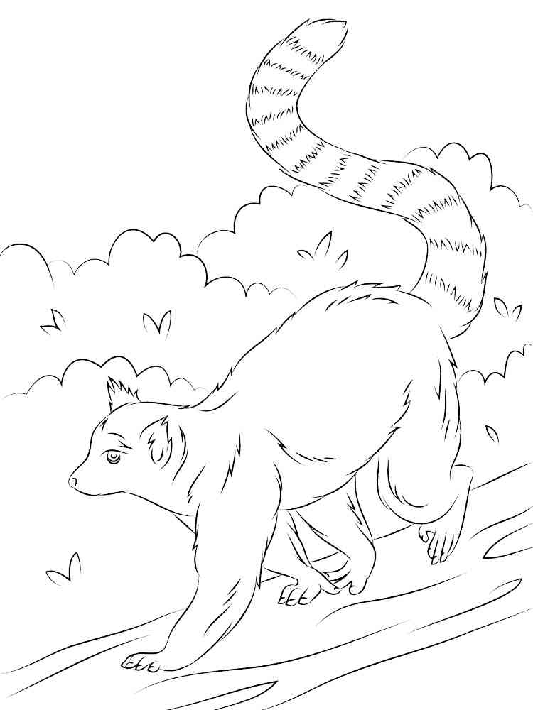 Realistic Ring-Tailed Lemur coloring page