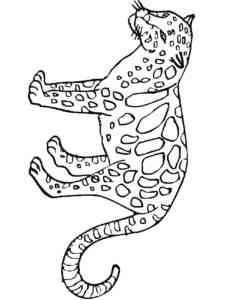 Simple Leopard coloring page