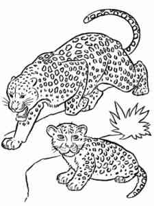 Leopard with a cub coloring page