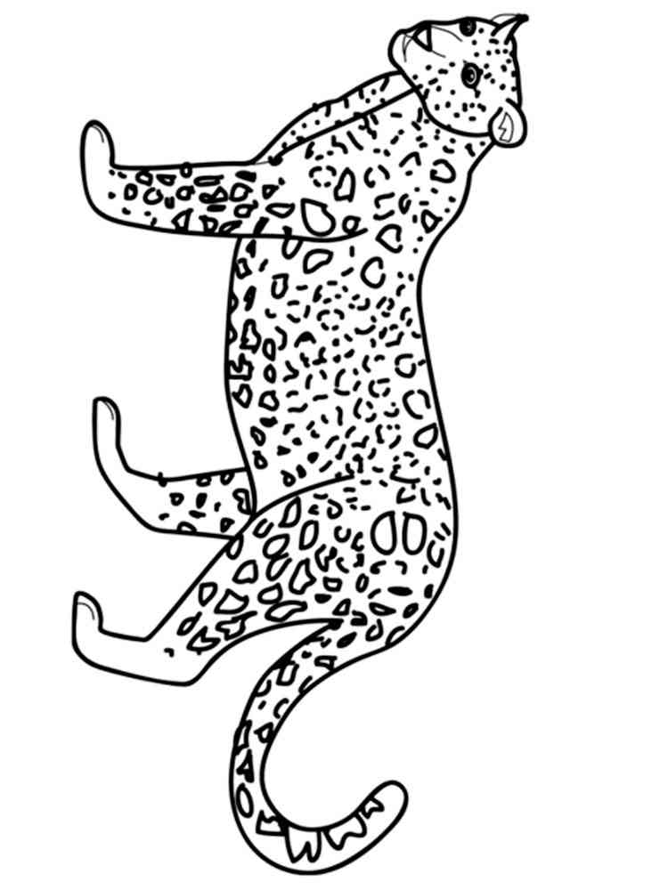 Easy Leopard coloring page