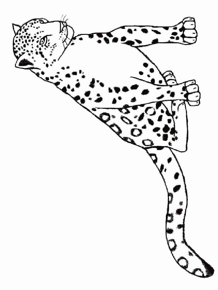 Sitting Leopard coloring page