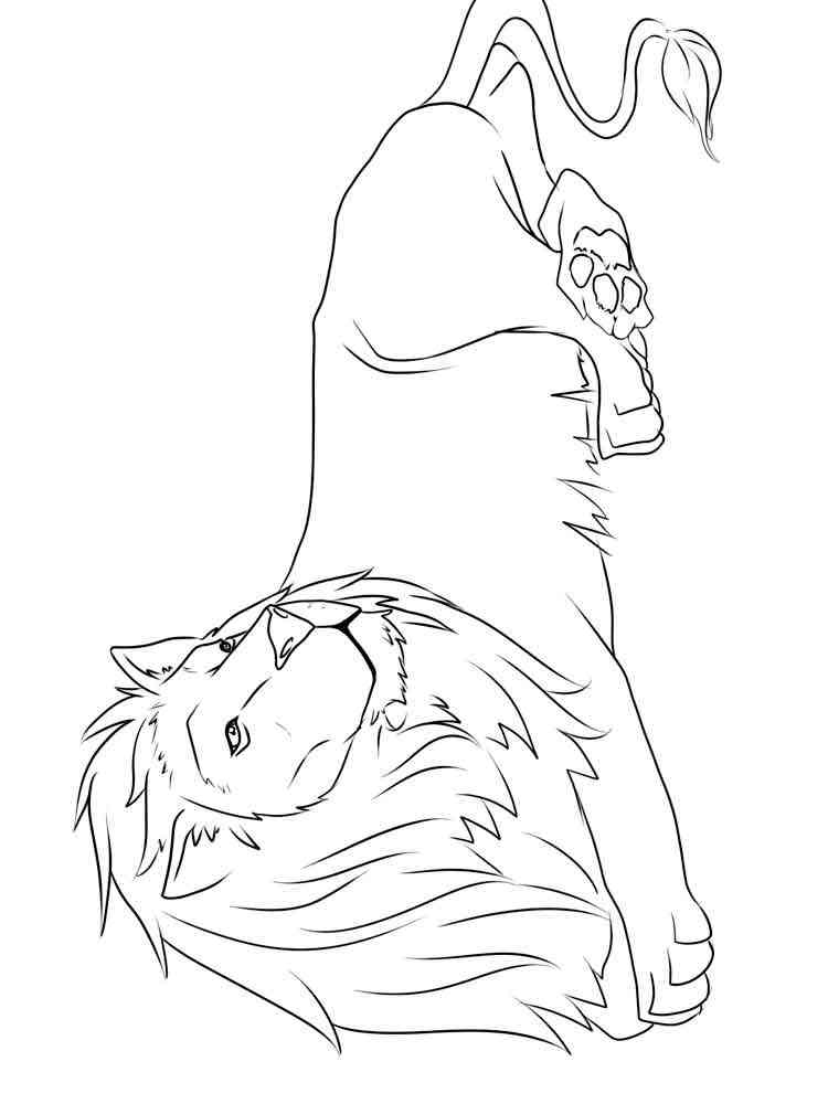 Lying African Lion coloring page