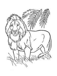 Realistic Lion coloring page