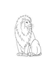 Sitting Lion coloring page