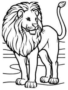Young Lion coloring page