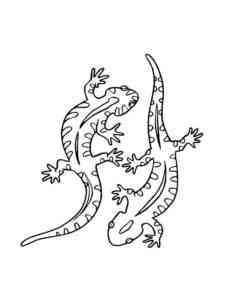 Two Lizards coloring page