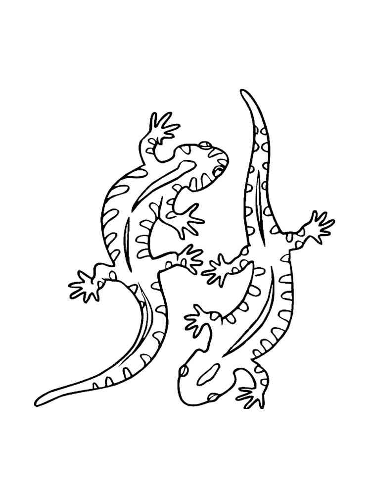 Two Lizards coloring page