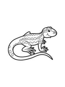 Funny Lizard coloring page