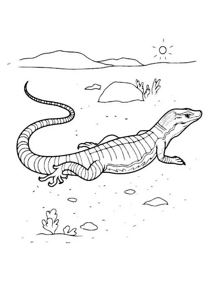 Lizard in the desert coloring page