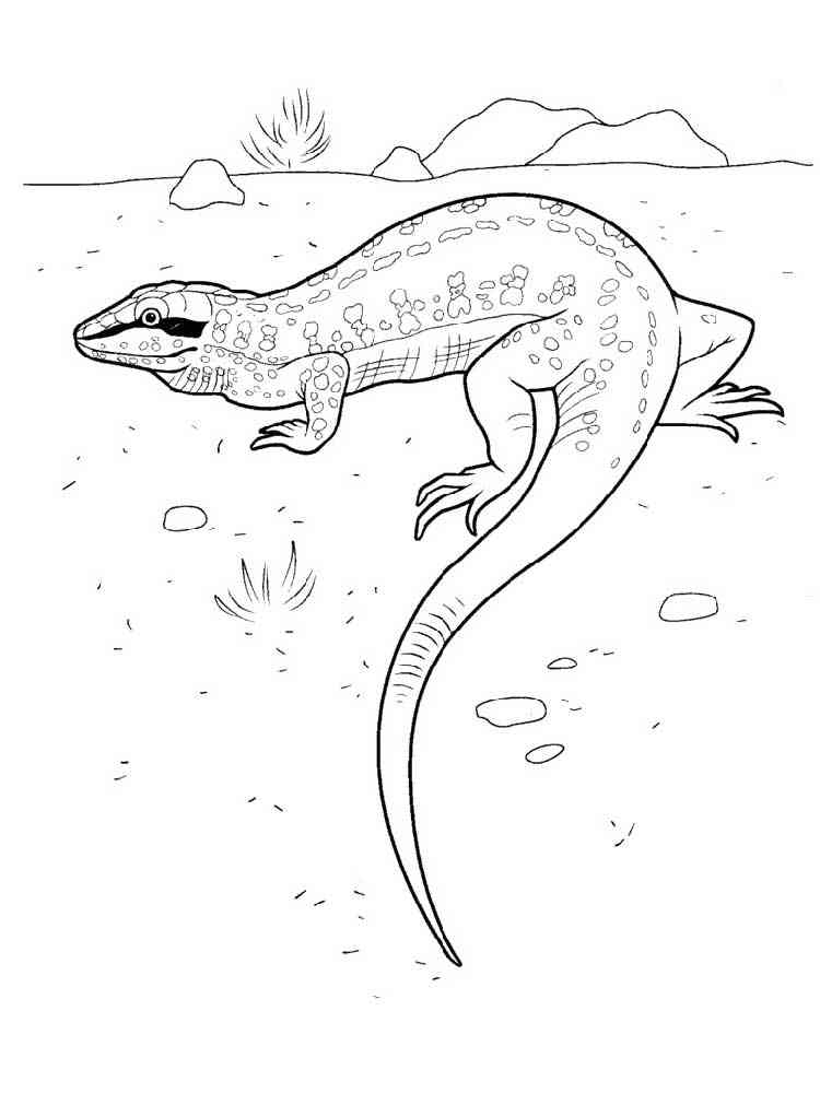 Blue-tongued skink coloring page