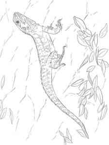 Green Lizard coloring page