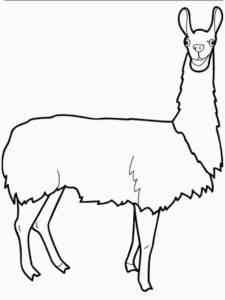 Easy Llama coloring page