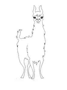 Simple Llama coloring page