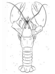 Large Lobster coloring page