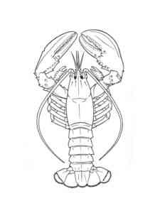 European Lobster coloring page