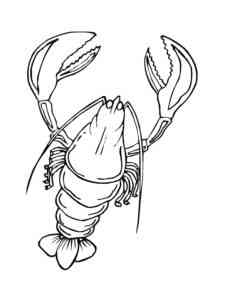 American Lobster coloring page