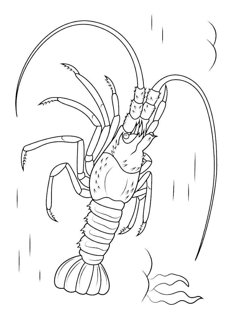 Mediterranean Lobster coloring page