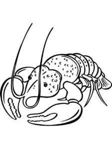 Realistic Lobster coloring page