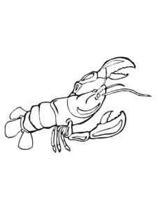Crayfish coloring page