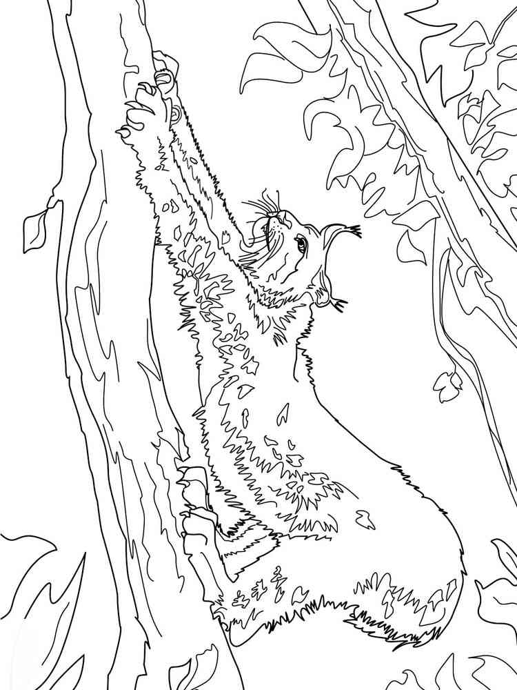 Lynx stretches on a branch coloring page