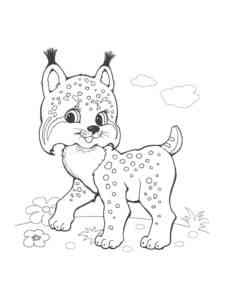 Cute Lynx coloring page