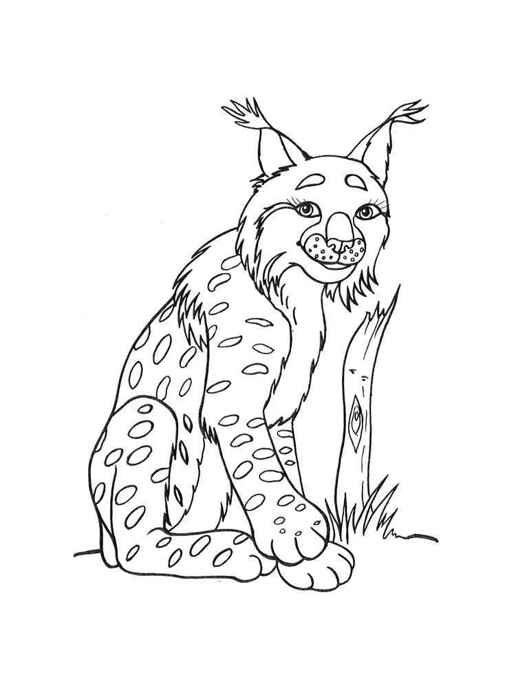 Funny Lynx coloring page
