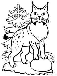Lynx in the Forest coloring page