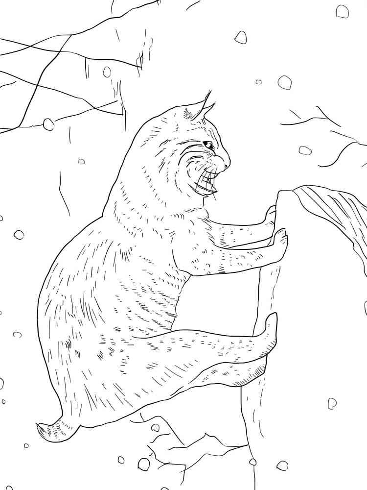 WildCat Lynx coloring page