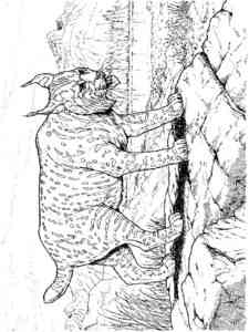 Iberian Lynx coloring page