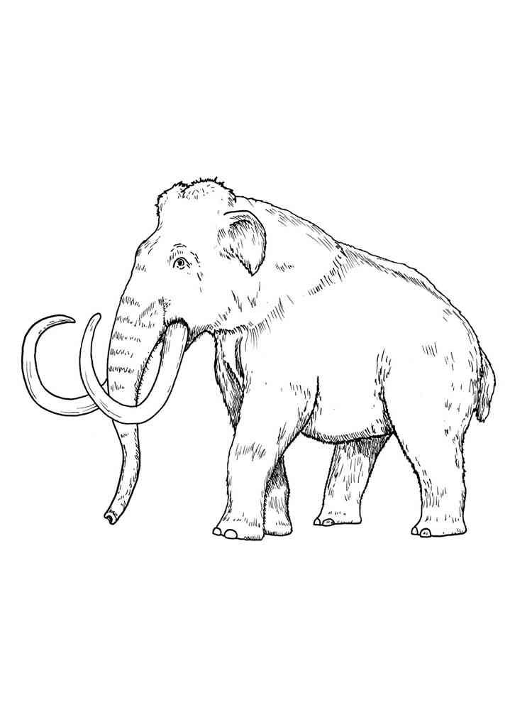 Large Mammoth coloring page