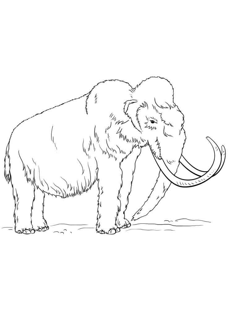 Realistic Mammoth coloring page