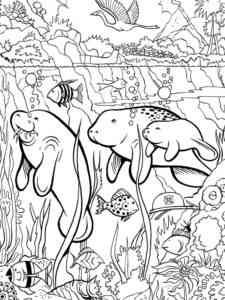 Manatees Family coloring page