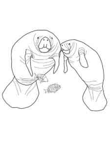 Two Manatees coloring page
