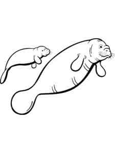 Manatee with a cub coloring page