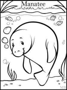 Simple Manatee coloring page