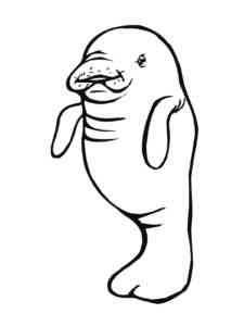Little Manatee coloring page